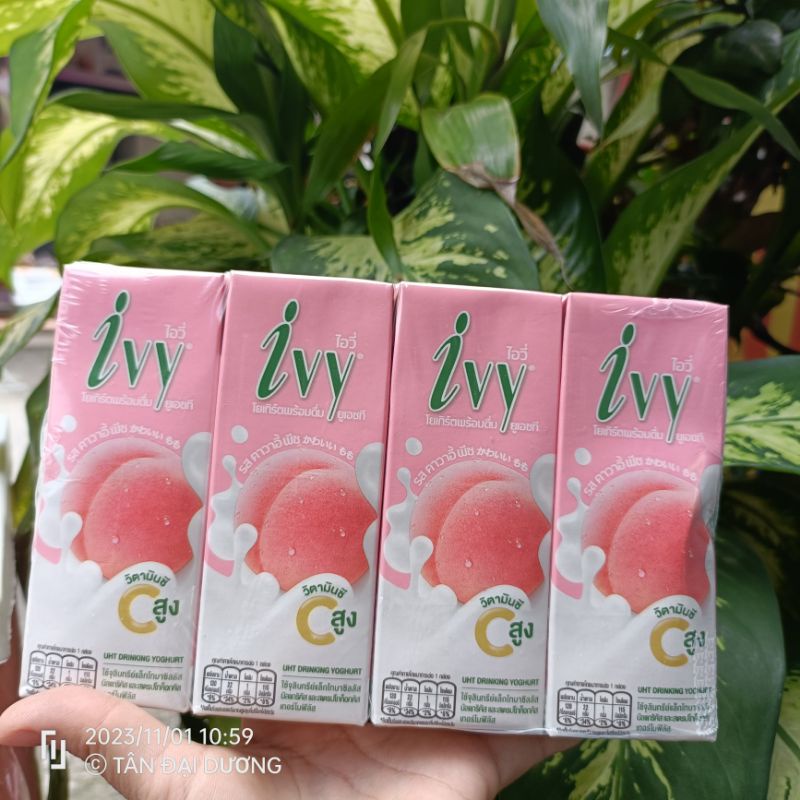 Thùng  Sữa chua trái cây Ivy Thái Lan 180ml mix vị