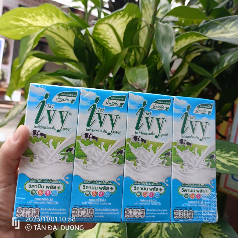 Thùng  Sữa chua trái cây Ivy Thái Lan 180ml mix vị