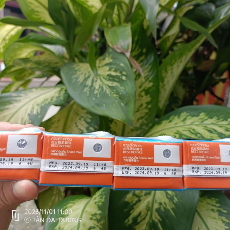 Sữa chua trái cây Ivy Thái Lan chính hãng Lốc