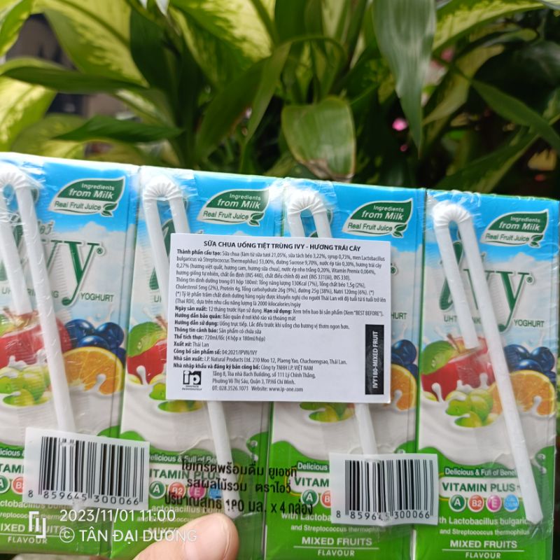 Sữa chua trái cây Ivy Thái Lan chính hãng Lốc