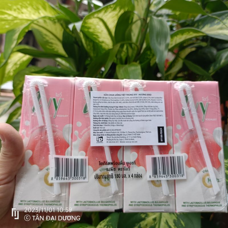 Sữa chua trái cây Ivy Thái Lan chính hãng Lốc
