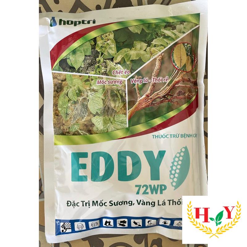 EDDY 72WP/300GR
