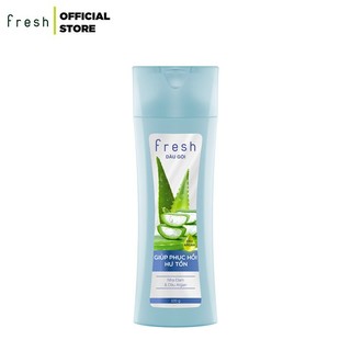[HB GIFT] Dầu Gội Fresh 320 gram