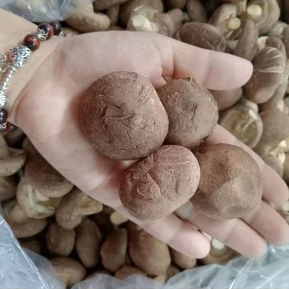 Nấm Hương Sấy Thăng Hoa An Nhiên 100g