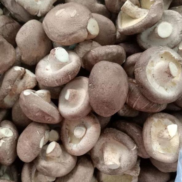 Nấm Hương Sấy Thăng Hoa An Nhiên 100g