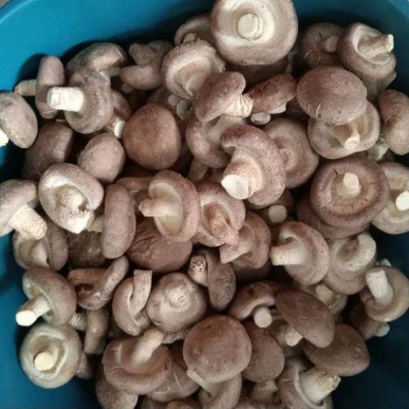 Nấm Hương Sấy Thăng Hoa An Nhiên 100g