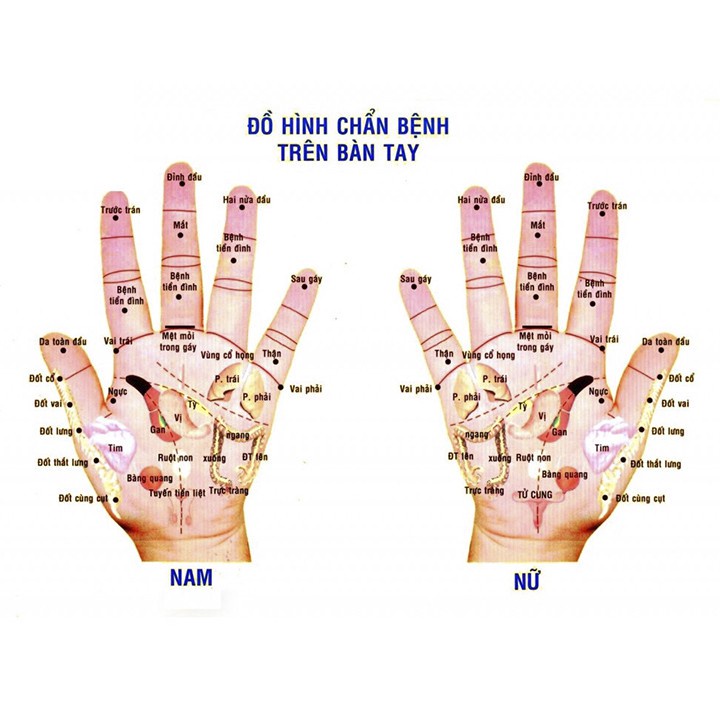 Combo 2 cây ấn huyệt bằng gỗ thơm - Giúp đả thông kinh mạch và lưu thông khí huyết - MH856 - HAHANCO