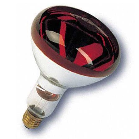 Bóng đèn hồng ngoại Osram 250w