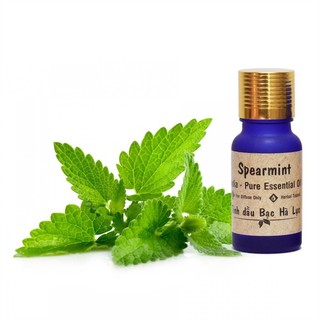 Tinh dầu tự nhiên bạc hà lục facare essential 10ml