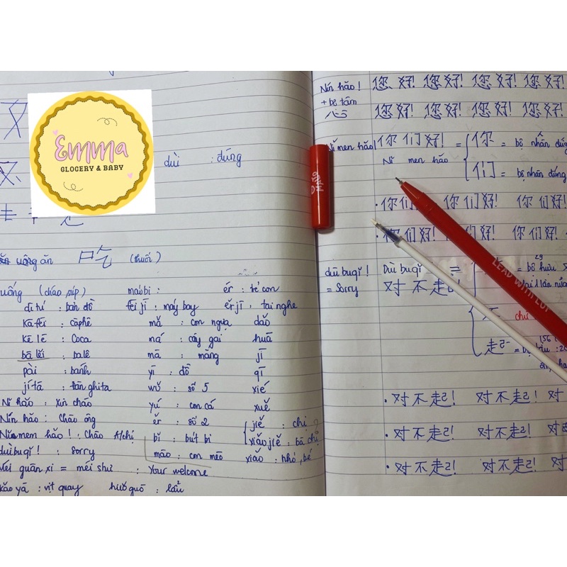 Combo 5 bút bi mực nước Malto đủ màu - kèm ngòi thay