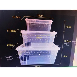 Hộp nuôi bò sát, hộp nuôi côn trùng, hộp nuôi thú cưng petstore