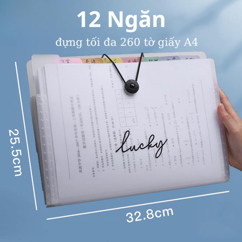 Cặp đựng tài liệu A4 bản Display Book loại 5 / 8 /12 ngăn lưu trữ giấy tờ - BAMIN STORE