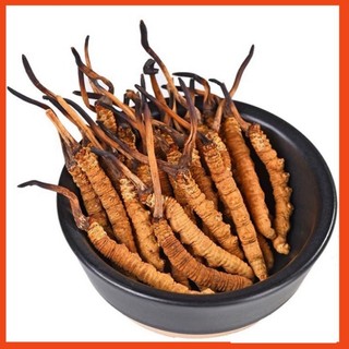  Đông Trùng Hạ Thảo 1.5gr Khô Nguyên Con To ,Ngon ,Hàng Cao Cấp Bồi Bổ Cơ Thể MS88