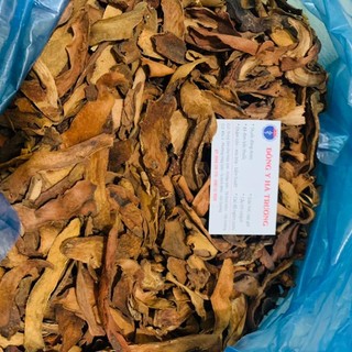 Cốt toái bổ mạnh gân cốt, bổ can thận
