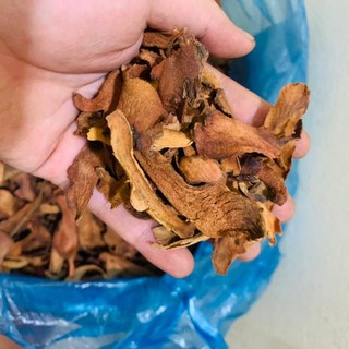 Cốt toái bổ mạnh gân cốt, bổ can thận