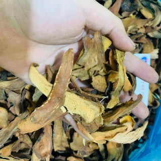 Cốt toái bổ mạnh gân cốt, bổ can thận