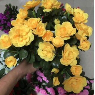Hoa giả - Cây hoa đỗ quyên 12 nhánh