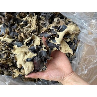 Nấm tai mèo 2 da khô ráo,cánh mỏng. đặc sản tây bắc 100gr -500gr