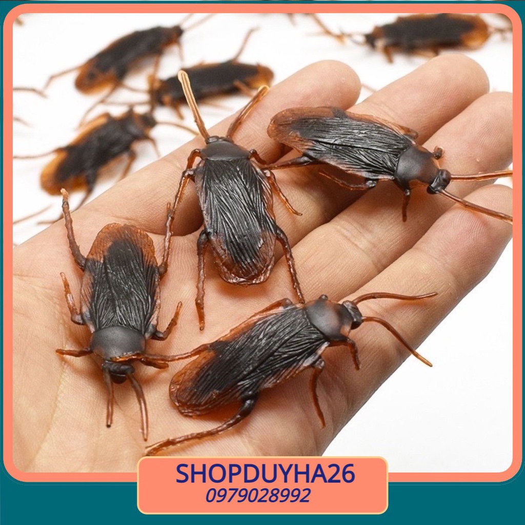 Đồ chơi con gián giả làm bằng cao su hù doạ trẻ em như thật cực mới lạ