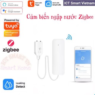 Cảm biến báo ngập nước Wifi/Zigbee Tuya