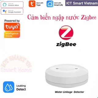Cảm biến báo ngập nước Wifi/Zigbee Tuya