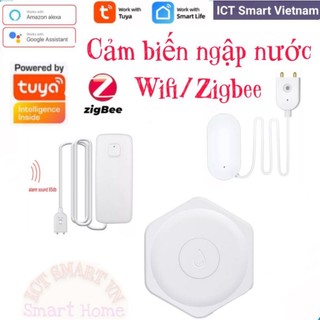 Cảm biến báo ngập nước Wifi/Zigbee Tuya