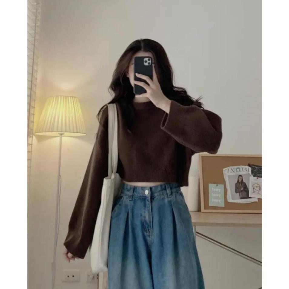 Áo len croptop trơn dài tay AO27
