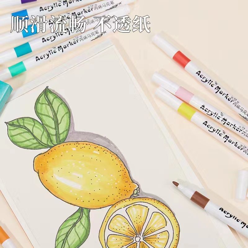 Set 48 / 60 Bút Lông acrylic Chống Nước Nhiều Màu Sắc Dùng Vẽ Tranh diy Dành Cho Học Sinh