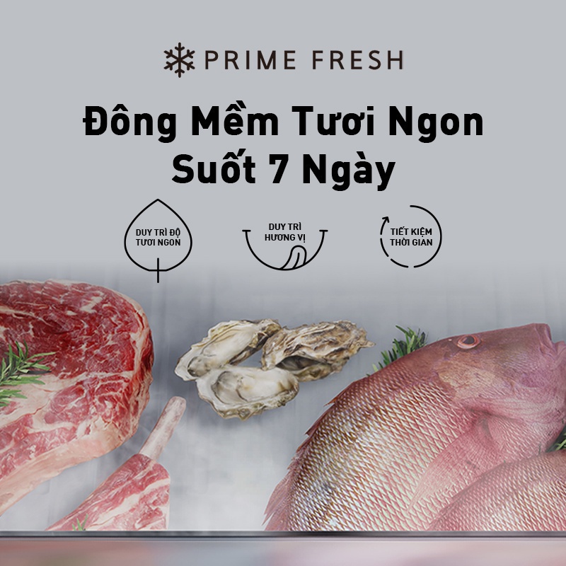 Tủ lạnh Panasonic Diệt Khuẩn 255L NR-SV281BPKV Cấp Đông Mềm - Ngăn Đá Dưới