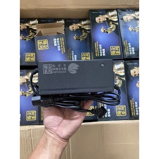 Sạc xe điện tự ngắt chống phồng bình