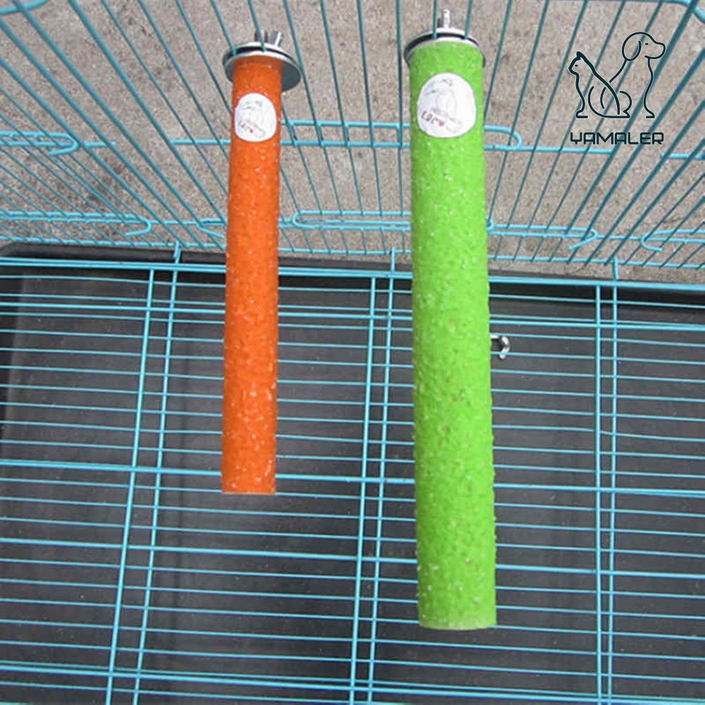 Yamaler   Đồ Chơi Thanh Đứng Cho Chim Vẹt Cắn