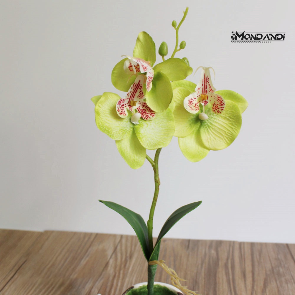 Mondandi  1 Bó Hoa Lan Giả Trang Trí Nhà Cửa Sân Vườn