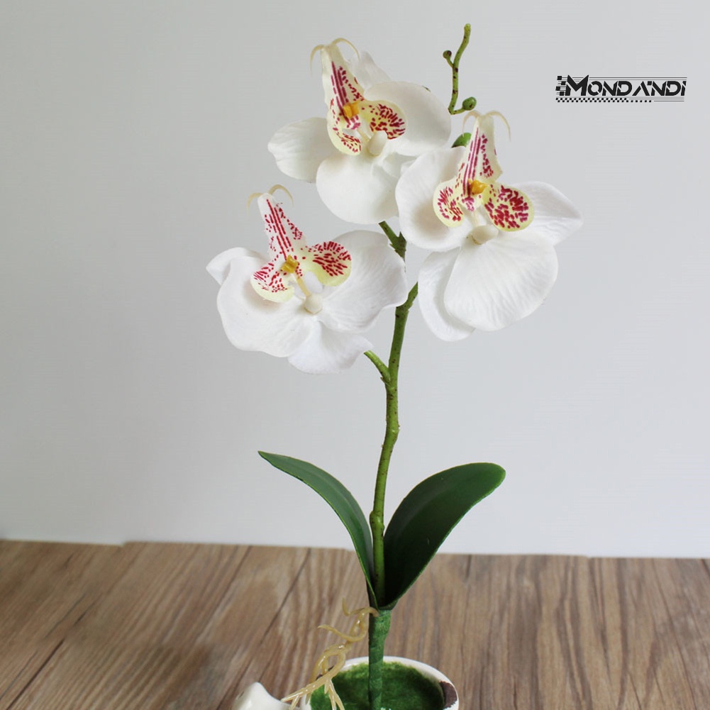 Mondandi  1 Bó Hoa Lan Giả Trang Trí Nhà Cửa Sân Vườn