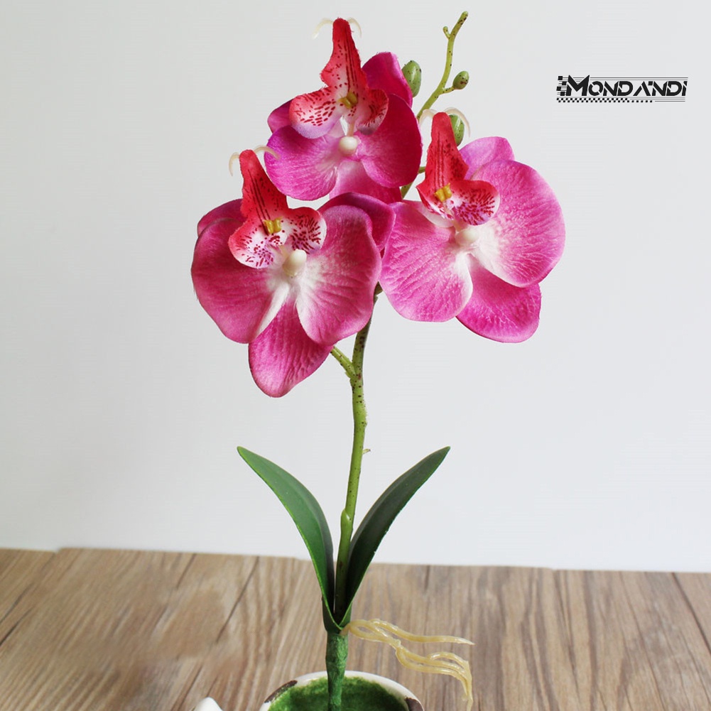 Mondandi  1 Bó Hoa Lan Giả Trang Trí Nhà Cửa Sân Vườn