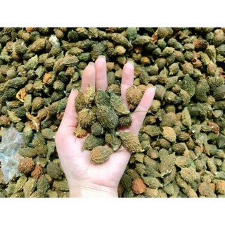 1kg Mướp đắng rừng loại nguyên quả và loại thái lát sấy khô