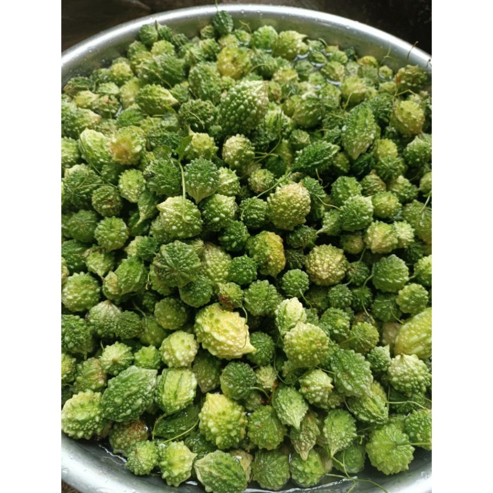 1kg Mướp đắng rừng  loại nguyên quả và loại thái lát sấy khô