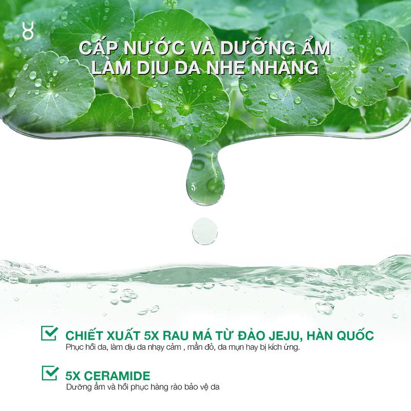 【COMBO 10 MẶT NẠ】FOCALSKIN Mặt Nạ Giấy B5 RAU MÁ 5X Ceramide 5X Cấp Ẩm Phục Hồi Da Tổn Thương 25ml | BigBuy360 - bigbuy360.vn