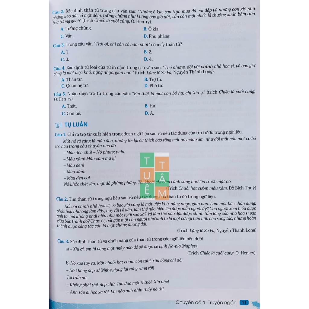 Sách - Phát triển năng lực Ngữ Văn 8