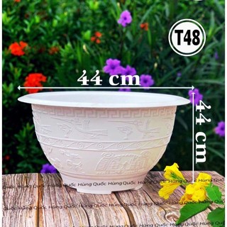 [ 5 Cái ] Chậu nhựa trồng cây T48 đủ màu