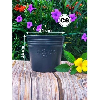 Chậu trồng cây ươm cây c6 combo 100 cái