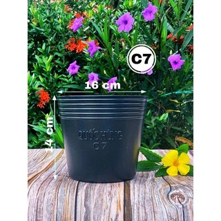 Chậu  trồng cây C7