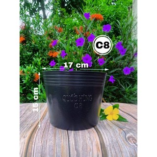 Chậu Trồng Cây C8 Combo 20 cái