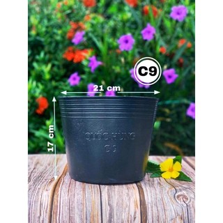 Chậu Trồng Cây C9