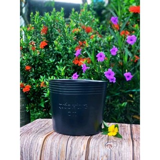 Chậu Trồng Cây C9