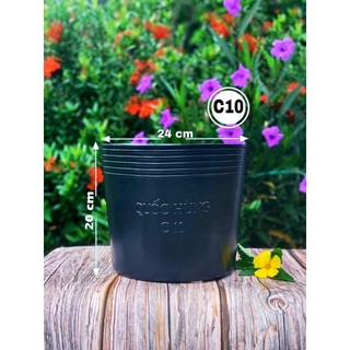 Chậu Trồng Cây C10