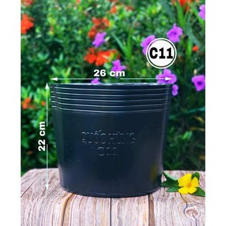 Chậu Trồng Cây C11