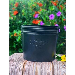 Chậu Trồng Cây C11