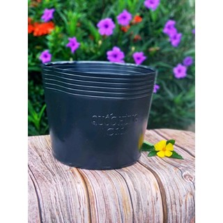 Chậu Trồng Cây C11