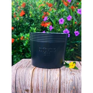 Chậu Trồng Cây C11