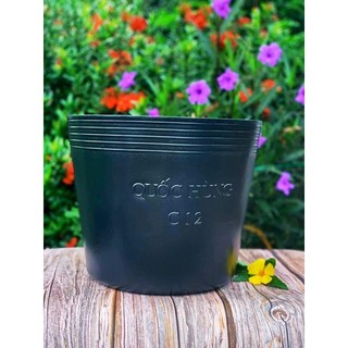 Chậu Trồng Cây C12